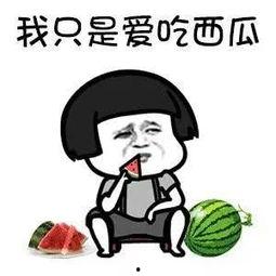 娱乐吃瓜酱内向