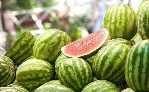 吃瓜星娱乐为什么说人类要吃盐,吃瓜星娱乐视角下的盐与人类生存之谜