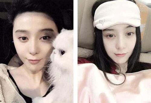 娱乐圈明星吃瓜,揭秘明星背后的故事与争议