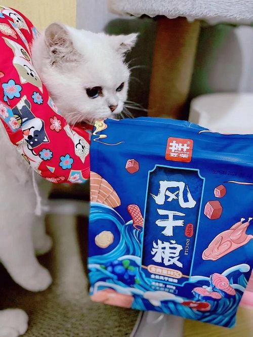 娱乐吃瓜君二豆猫,揭秘娱乐圈那些不为人知的幕后故事