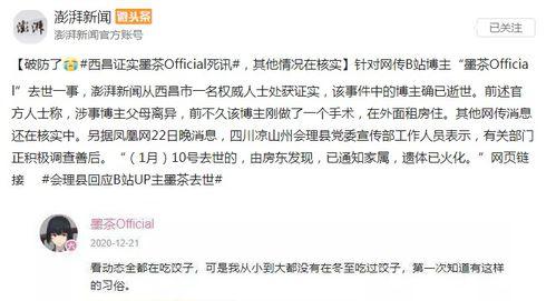 辞职通知书娱乐吃瓜酱,辞职通知书背后的娱乐吃瓜大揭秘