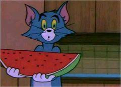 别人发一个吃瓜的表情过来,一场网络表情引发的狂欢